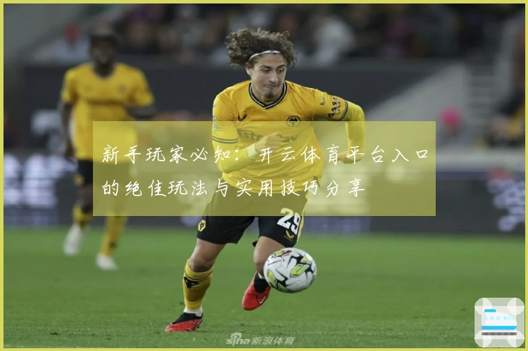 新手玩家必知：开云体育平台入口的绝佳玩法与实用技巧分享