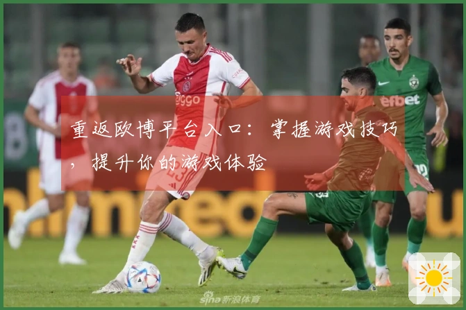 重返欧博平台入口:掌握游戏技巧,提升你的游戏体验