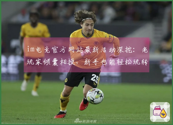im电竞官方网站最新活动深挖：老玩家倾囊相授，新手也能轻松玩转，最大化收益！